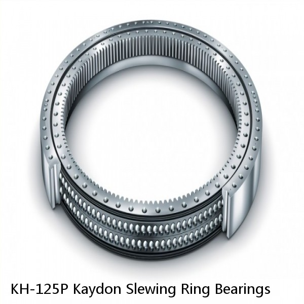 KH-125P Kaydon Slewing Ring Bearings