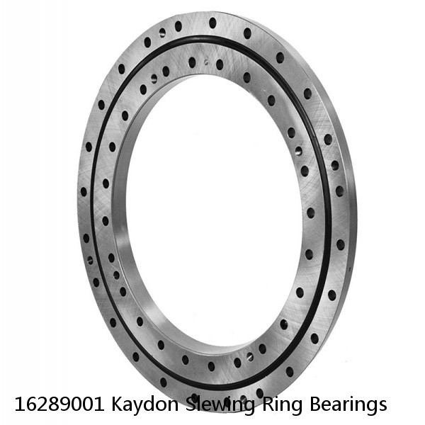 16289001 Kaydon Slewing Ring Bearings