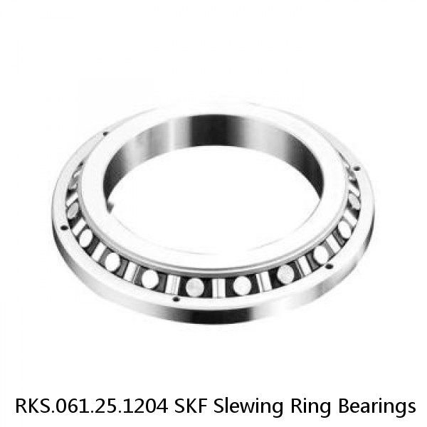 RKS.061.25.1204 SKF Slewing Ring Bearings