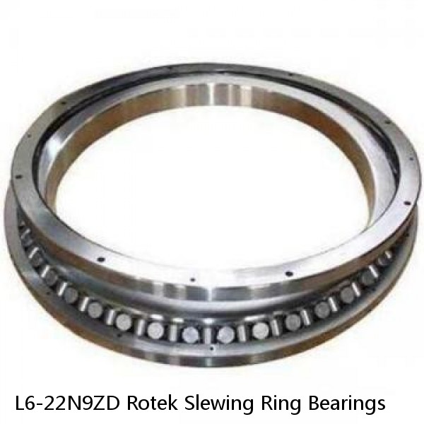 L6-22N9ZD Rotek Slewing Ring Bearings