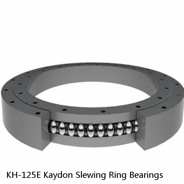 KH-125E Kaydon Slewing Ring Bearings #1 small image