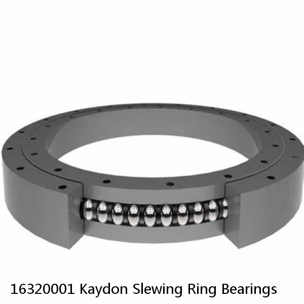 16320001 Kaydon Slewing Ring Bearings #1 small image