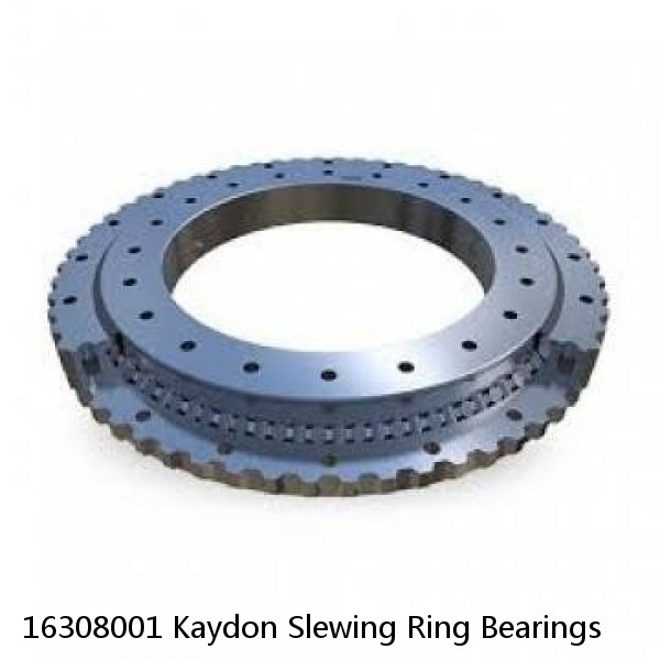 16308001 Kaydon Slewing Ring Bearings #1 small image