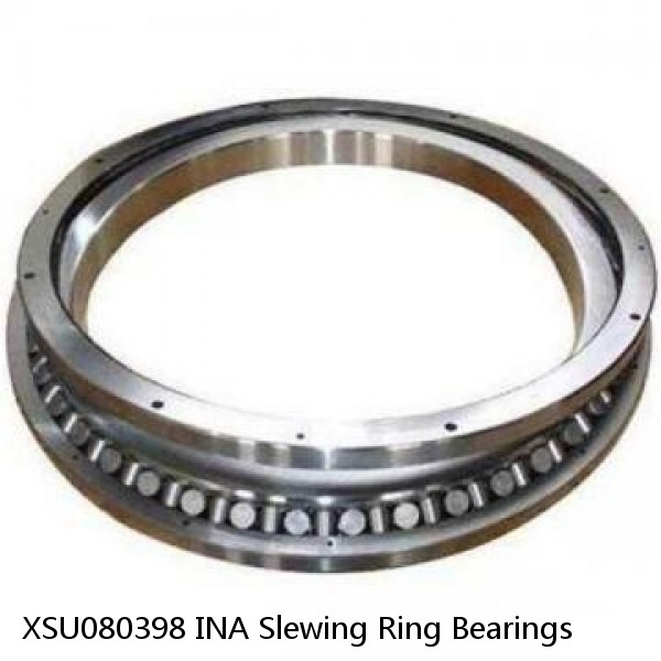 XSU080398 INA Slewing Ring Bearings #1 small image