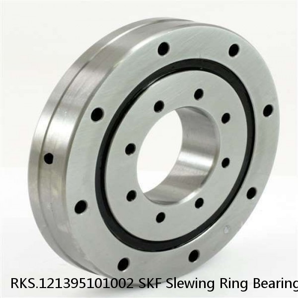 RKS.121395101002 SKF Slewing Ring Bearings #1 small image