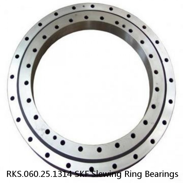 RKS.060.25.1314 SKF Slewing Ring Bearings #1 small image