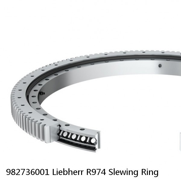 982736001 Liebherr R974 Slewing Ring #1 image