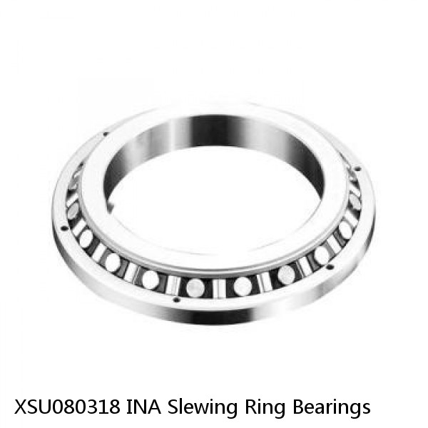 XSU080318 INA Slewing Ring Bearings #1 image