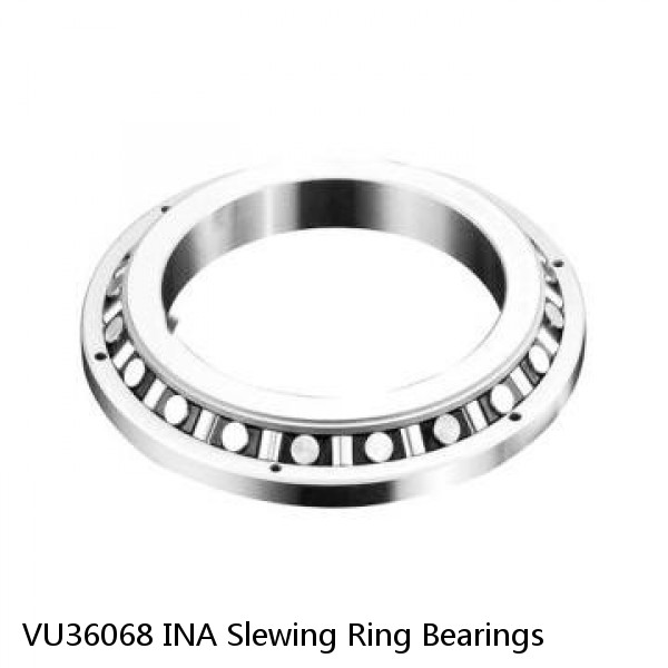 VU36068 INA Slewing Ring Bearings #1 image