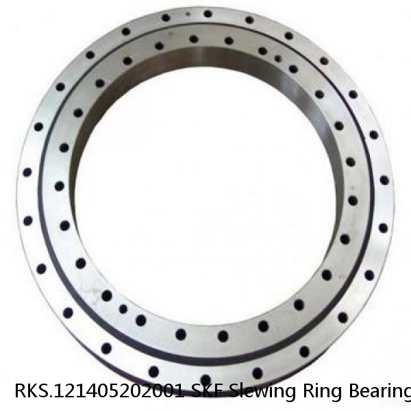 RKS.121405202001 SKF Slewing Ring Bearings #1 image