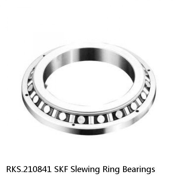 RKS.210841 SKF Slewing Ring Bearings #1 image