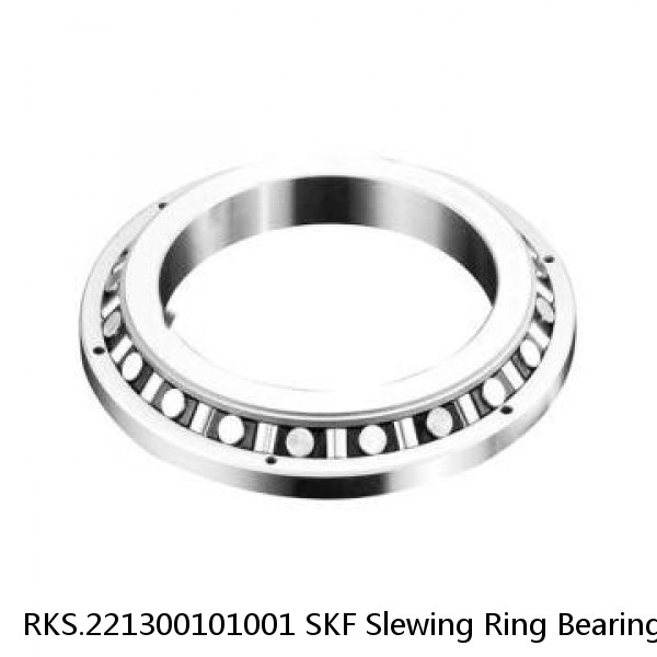 RKS.221300101001 SKF Slewing Ring Bearings #1 image