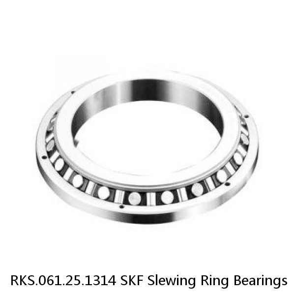 RKS.061.25.1314 SKF Slewing Ring Bearings #1 image