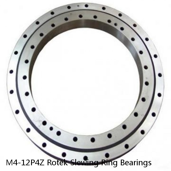 M4-12P4Z Rotek Slewing Ring Bearings #1 image