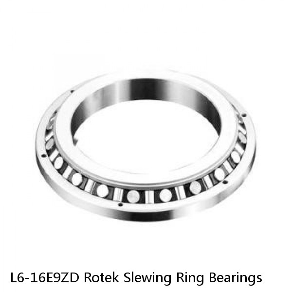 L6-16E9ZD Rotek Slewing Ring Bearings #1 image