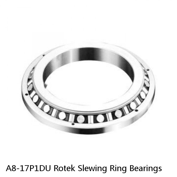 A8-17P1DU Rotek Slewing Ring Bearings #1 image