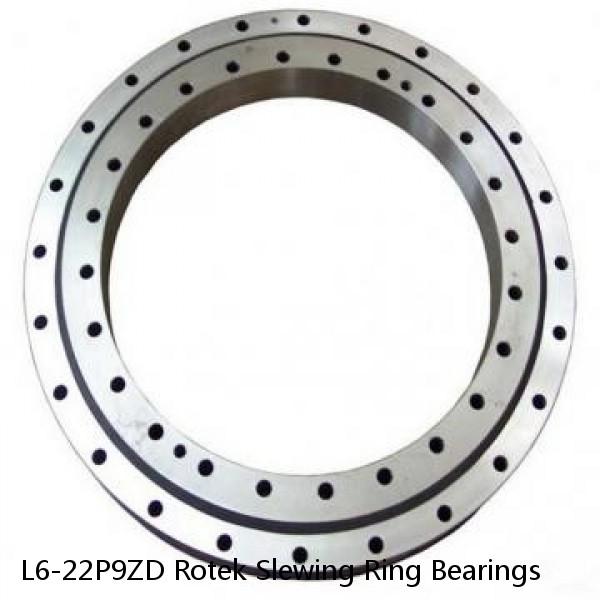 L6-22P9ZD Rotek Slewing Ring Bearings #1 image