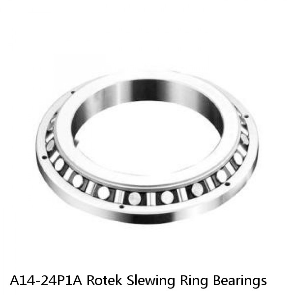 A14-24P1A Rotek Slewing Ring Bearings #1 image