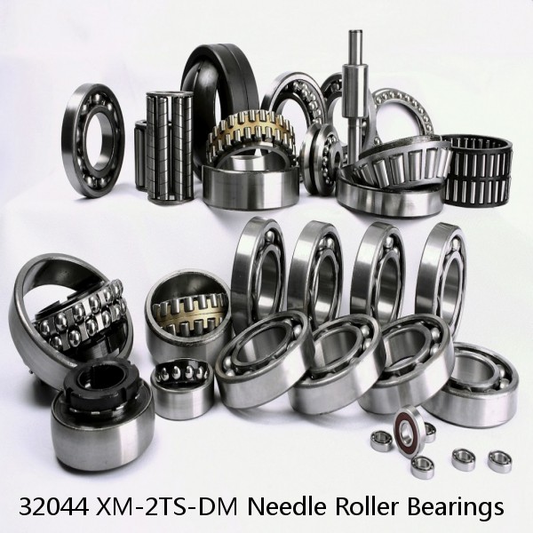 32044 XM-2TS-DM Needle Roller Bearings #1 image