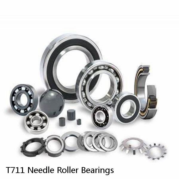 T711 Needle Roller Bearings #1 image